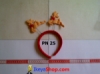 PN 25 medium.jpg